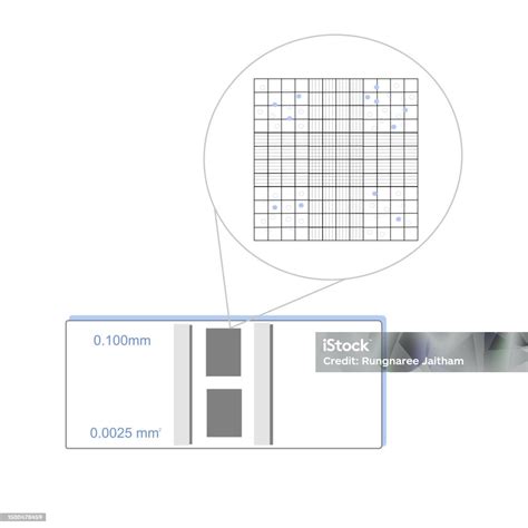 Ilustración de una cámara de conteo Makler con la cuadrícula y espermatozoides.