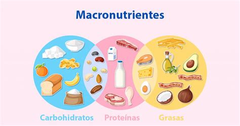 Gráfico de barras comparando el contenido de macronutrientes (proteínas, carbohidratos, lípidos) por 100g de papilla Meritene.