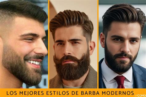 Diferentes tipos de moisés modernos