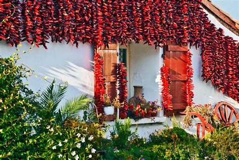 Fachadas de casas en Espelette adornadas con ristras de pimientos rojos