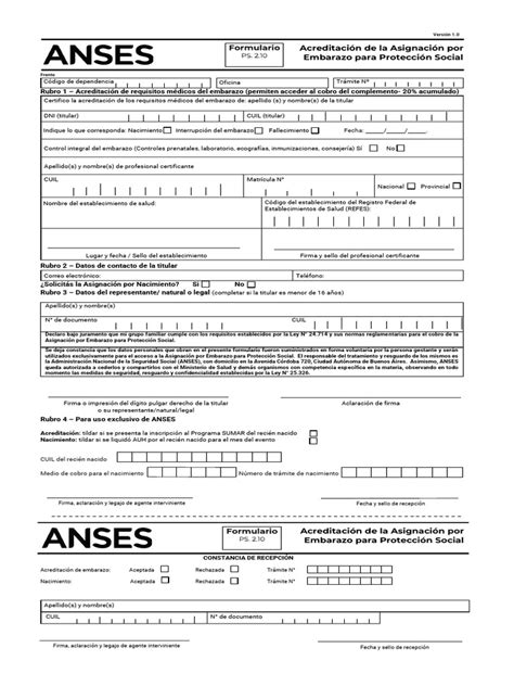 Infografía: Requisitos clave para solicitar la Asignación por Embarazo para Protección Social