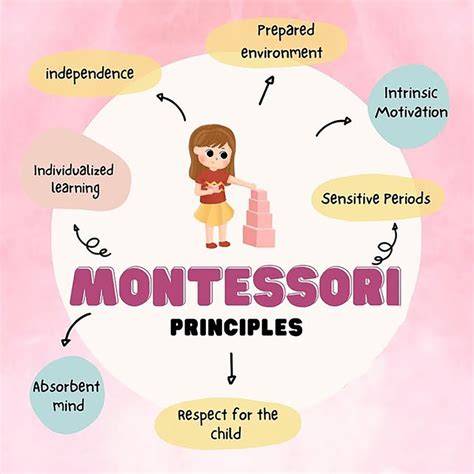 Esquema visual sobre los principios del método Montessori en el desarrollo infantil