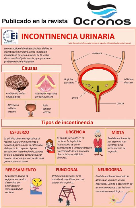 Infografía sobre causas de incontinencia en perros
