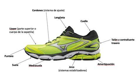 Esquema: Partes de una zapatilla de tenis con énfasis en suela y flexibilidad