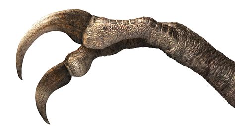 Primer plano de guantes y cubrebotas de dinosaurio con garras de fieltro