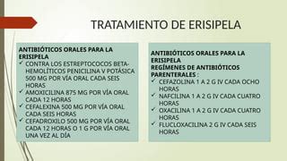 Infografía con las opciones de tratamiento antibiótico para la erisipela.