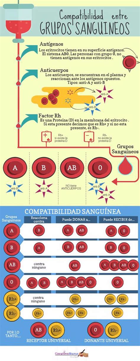 Infografía sobre la herencia de los grupos sanguíneos de padres a hijos.