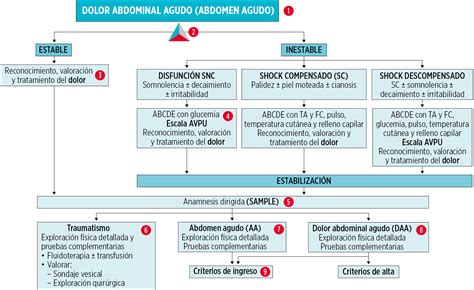 Diagrama de flujo para el diagnóstico de dolor abdominal agudo en el embarazo