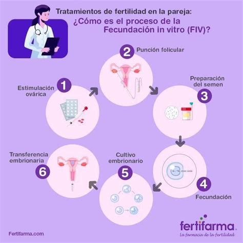 Infografía que muestra el aumento de la búsqueda de tratamientos de fertilidad en línea.