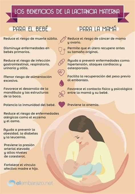infografía sobre la importancia de la lactancia materna y los beneficios para el bebé y la madre