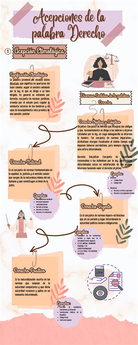 infografía sobre las diversas acepciones de la palabra 