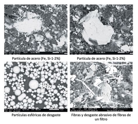 Microfotografía de estructuras cristalinas de estruvita, observadas mediante microscopía óptica.