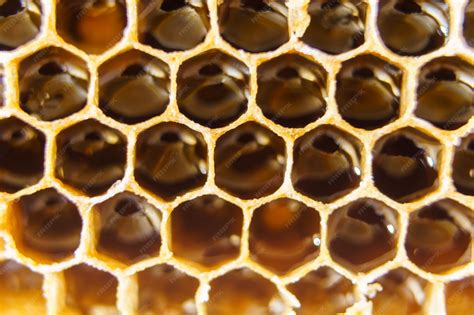 Foto de cerca de un panal de abejas con celdas hexagonales llenas de miel