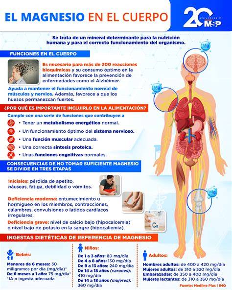 Esquema de las funciones vitales del magnesio en el cuerpo de los niños, como desarrollo óseo, función nerviosa y muscular.