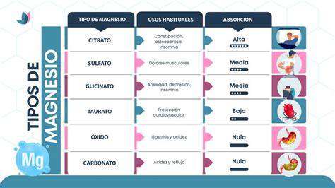 Tabla comparativa de los principales tipos de magnesio (citrato, bisglicinato, L-treonato) y sus características de absorción y usos específicos.