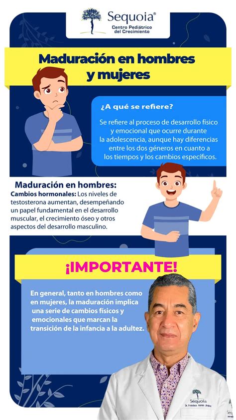 Infografía mostrando los cambios cerebrales en hombres y mujeres durante la crianza