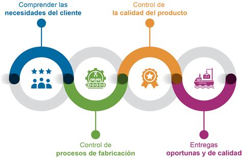 Infografía que muestra el proceso de control de calidad desde la recepción hasta el envasado final.