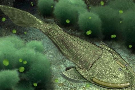 Ilustración de odontodos en el caparazón de peces ostracodermos, mostrando su estructura.