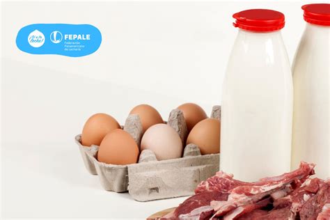 Esquema educativo que muestra los productos principales de la ganadería: carne, leche, huevos, lana y cuero.