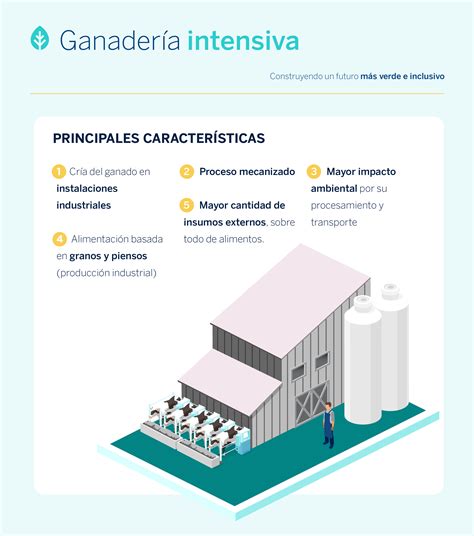 Infografía comparativa: Ganadería intensiva (establos tecnológicos) frente a ganadería extensiva (animales pastando en el campo).
