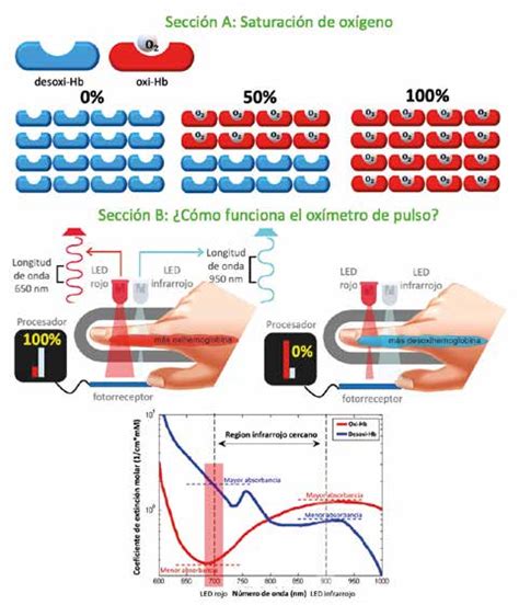 Diagrama que ilustra cómo un oxímetro de pulso emite luz roja e infrarroja a través de un dedo y mide la luz transmitida para calcular la saturación de oxígeno.