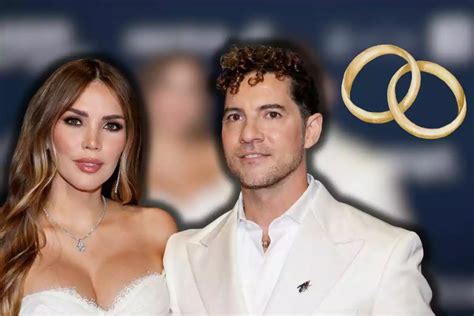 Foto de la boda de David Bisbal y Rosanna Zanetti