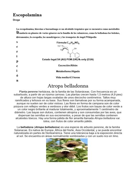 Infografía que muestra la estructura molecular de la escopolamina y sus principales efectos en el sistema nervioso central.