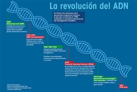 Esquema visual que detalla la evolución musical de Alexander, desde sus inicios en el jazz hasta su consolidación como compositor y músico de estudio.