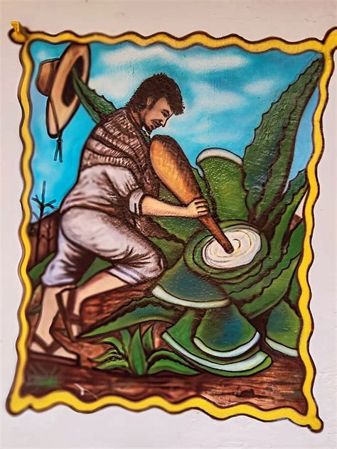 Ilustración de un tlachiquero extrayendo aguamiel de un maguey.