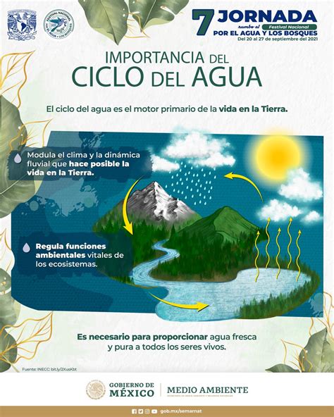 Infografía mostrando la importancia del color de la jibionera según la claridad del agua y la luz ambiental (colores llamativos para aguas turbias/poca luz, colores naturales para aguas claras/mucha luz).