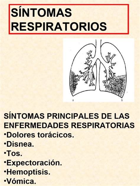 Esquema explicativo de los síntomas respiratorios comunes que trata el jarabe y su acción en el organismo.