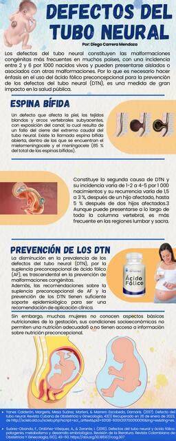Infografía sobre la prevención de defectos del tubo neural con ácido fólico