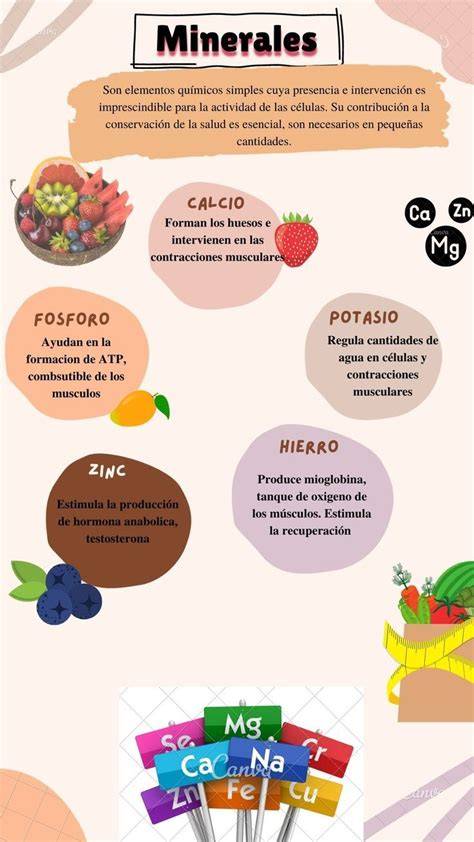 Infografía sobre fuentes de minerales: plátanos (potasio), frutos secos (magnesio) y lácteos (calcio).