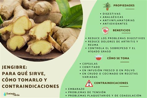 Infografía que muestra el origen del jengibre y su proceso de extracción en cápsulas