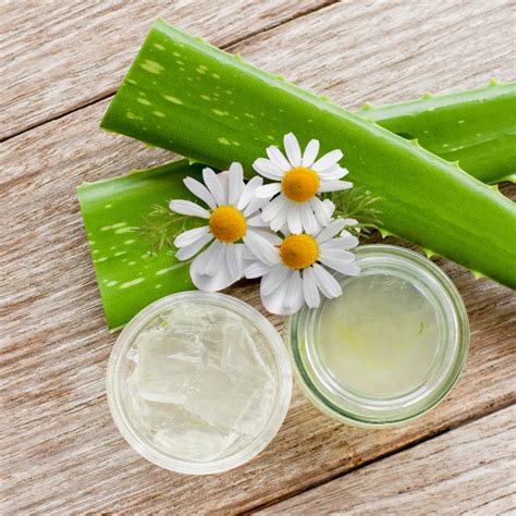 Infografía sobre los ingredientes naturales (aloe, manzanilla, vitamina E) y su efecto protector en la piel