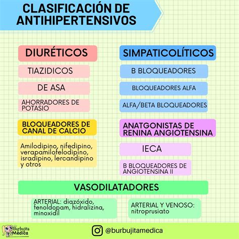 Esquema sobre el riesgo potencial de los fármacos antihipertensivos en el desarrollo fetal durante el primer trimestre.