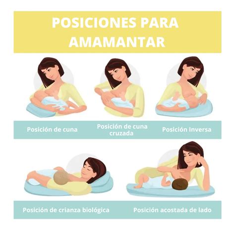 ilustración mostrando la posición correcta del bebé al mamar, con énfasis en el agarre profundo del pezón y la areola