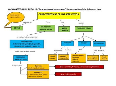 Esquema de las características físicas de un guepardo adulto