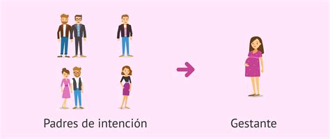 Ilustración médica mostrando diferentes escenarios que pueden requerir gestación subrogada.