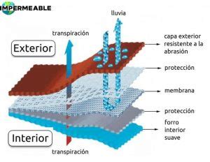Esquema explicativo de la membrana transpirable e impermeable de la suela Geox