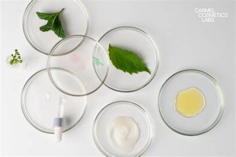 Infografía: Resumen visual de ingredientes cosméticos seguros vs. desaconsejados durante la gestación.