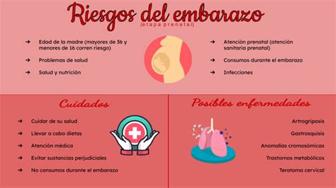 Esquema de los factores de riesgo físicos y sociales asociados al embarazo precoz