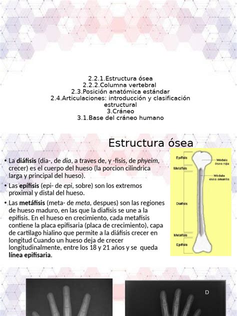 Esquema educativo que muestra la relación entre un objeto/animal (ej. un perro) y su representación sonora escrita (guau).