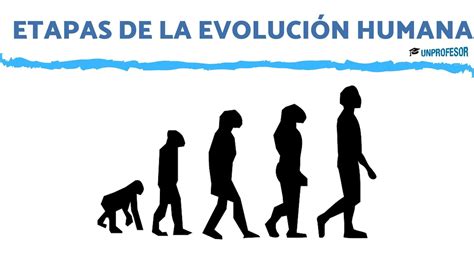Esquema visual sobre la evolución de la imagen pública de EJ Johnson y su faceta como reportero de moda