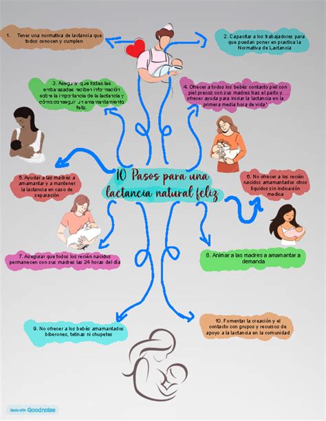 Infografía detallando los pasos hacia una lactancia natural y el papel de la formación IHAN en los centros de salud y hospitales.