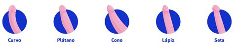 Comparativa entre micropene y pene oculto