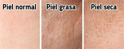 Esquema de aplicación correcta: piel limpia y seca, cantidad moderada y prueba previa en una zona pequeña.