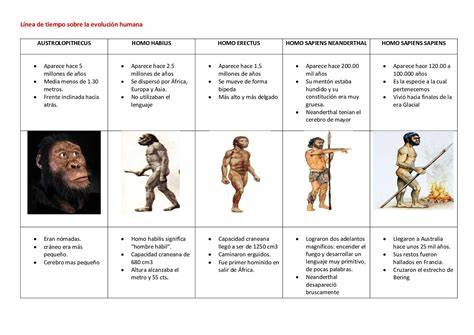 Esquema comparativo de la evolución física de Superman desde sus primeros cómics hasta la versión moderna cinematográfica.