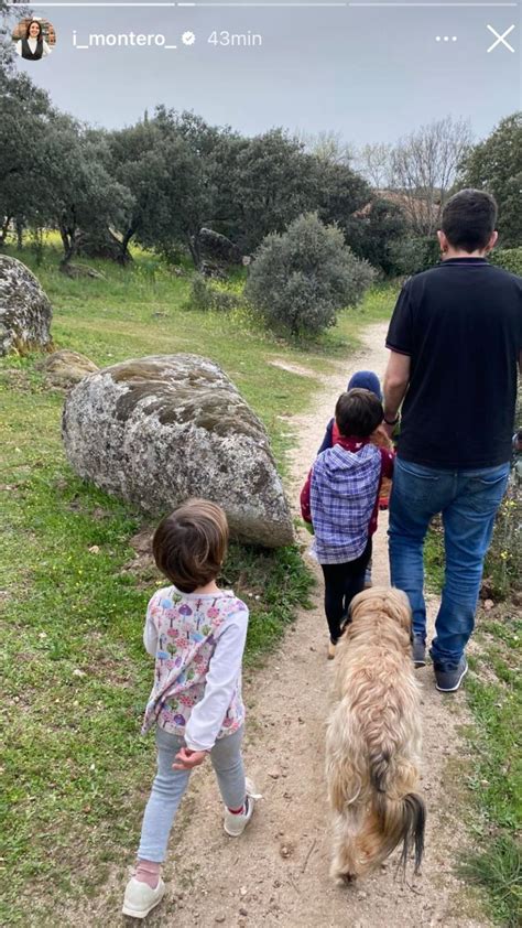 Infografía comparativa sobre los hijos de Pablo Montero y sus talentos destacados