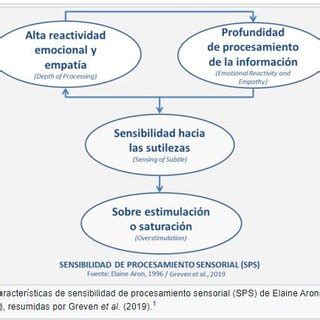 Esquema sobre la Sensibilidad de Procesamiento Sensorial: factores genéticos, activación cerebral y respuesta al entorno.